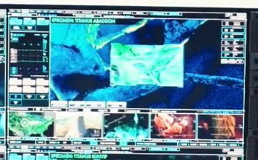 Ảnh quét tia X và cấu trúc giải phẫu của Abaddon tại tiền đồn Monarch Outpost 77