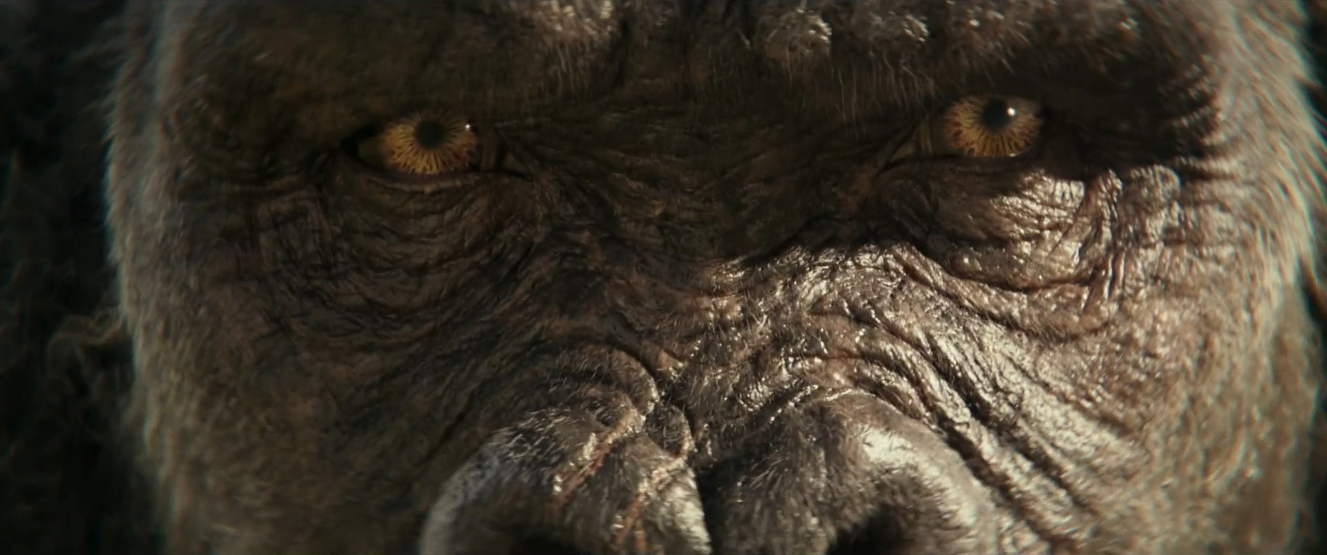 Cận cảnh đôi mắt và gương mặt đầy sẹo của Kong trong MonsterVerse.