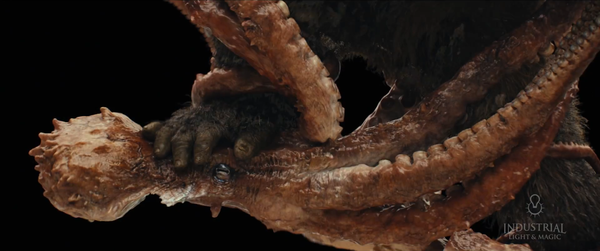 Mô hình kỹ xảo CGI raw từ Industrial Light & Magic tái hiện trận chiến Kong vs Mire Squid