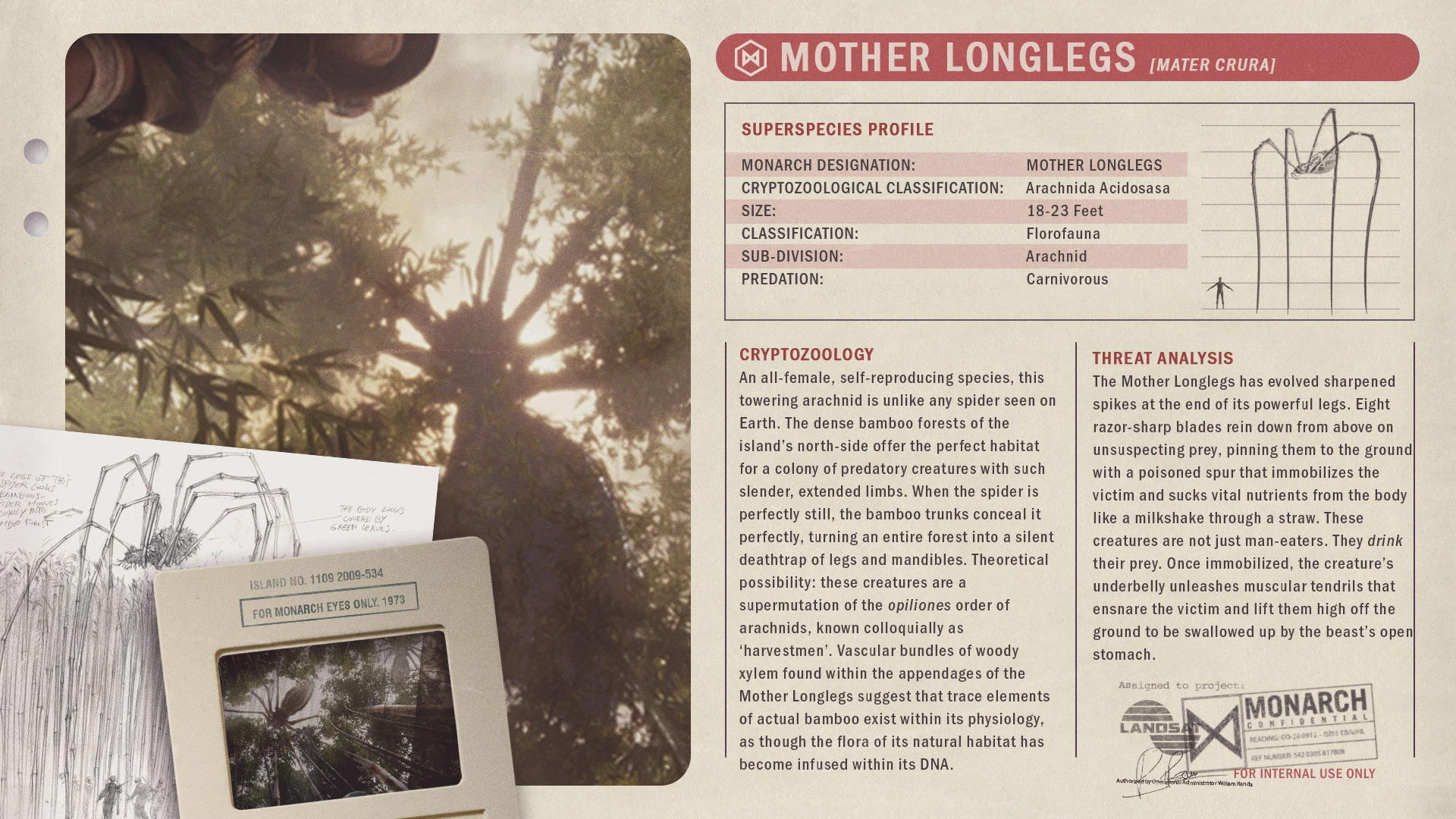 Thẻ tiểu sử hồ sơ sinh thái học chi tiết của Mother Longlegs