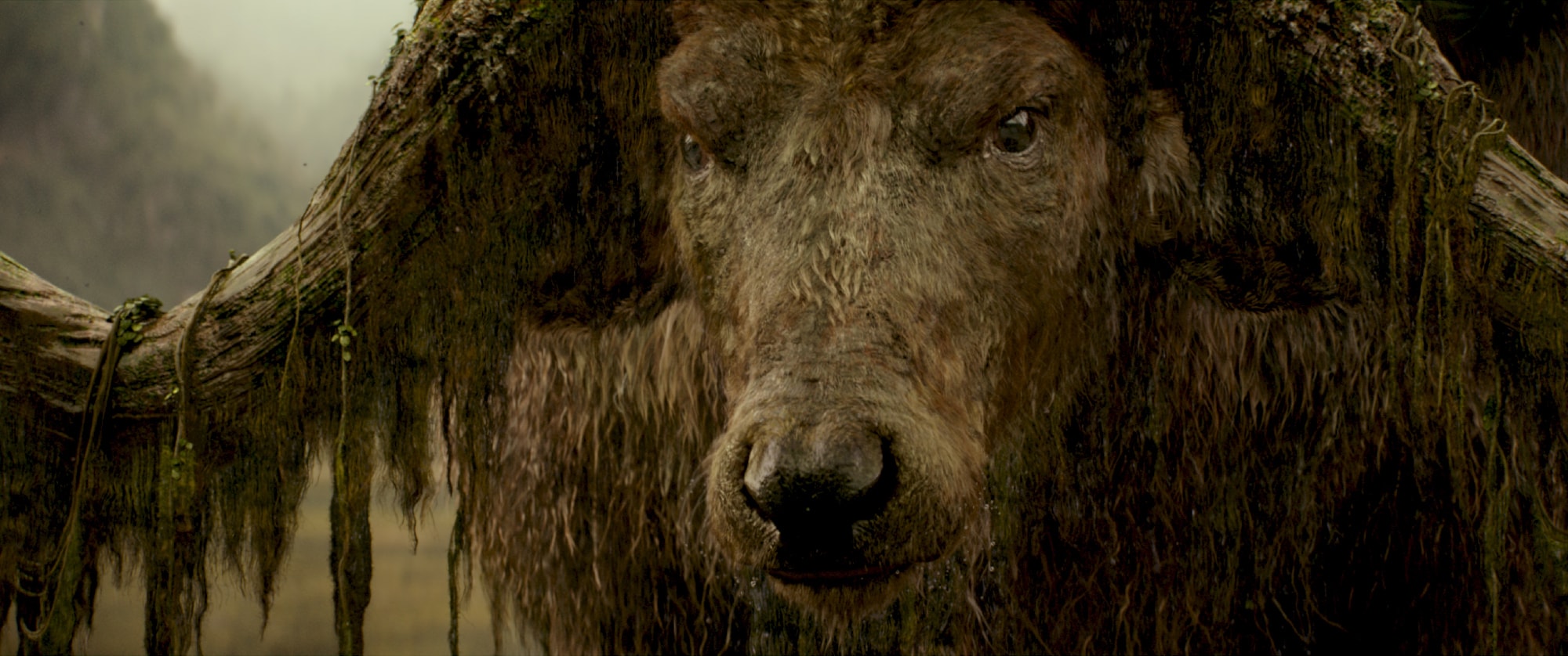Sker Buffalo chậm rãi trồi lên từ dòng sông nước ngọt trước ánh mắt ngỡ ngàng của phi hành đoàn