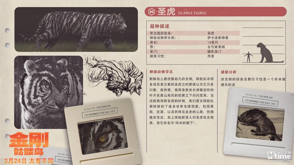 Bản vẽ minh họa Spirit Tiger trong tư thế rình rập săn mồi ban đêm