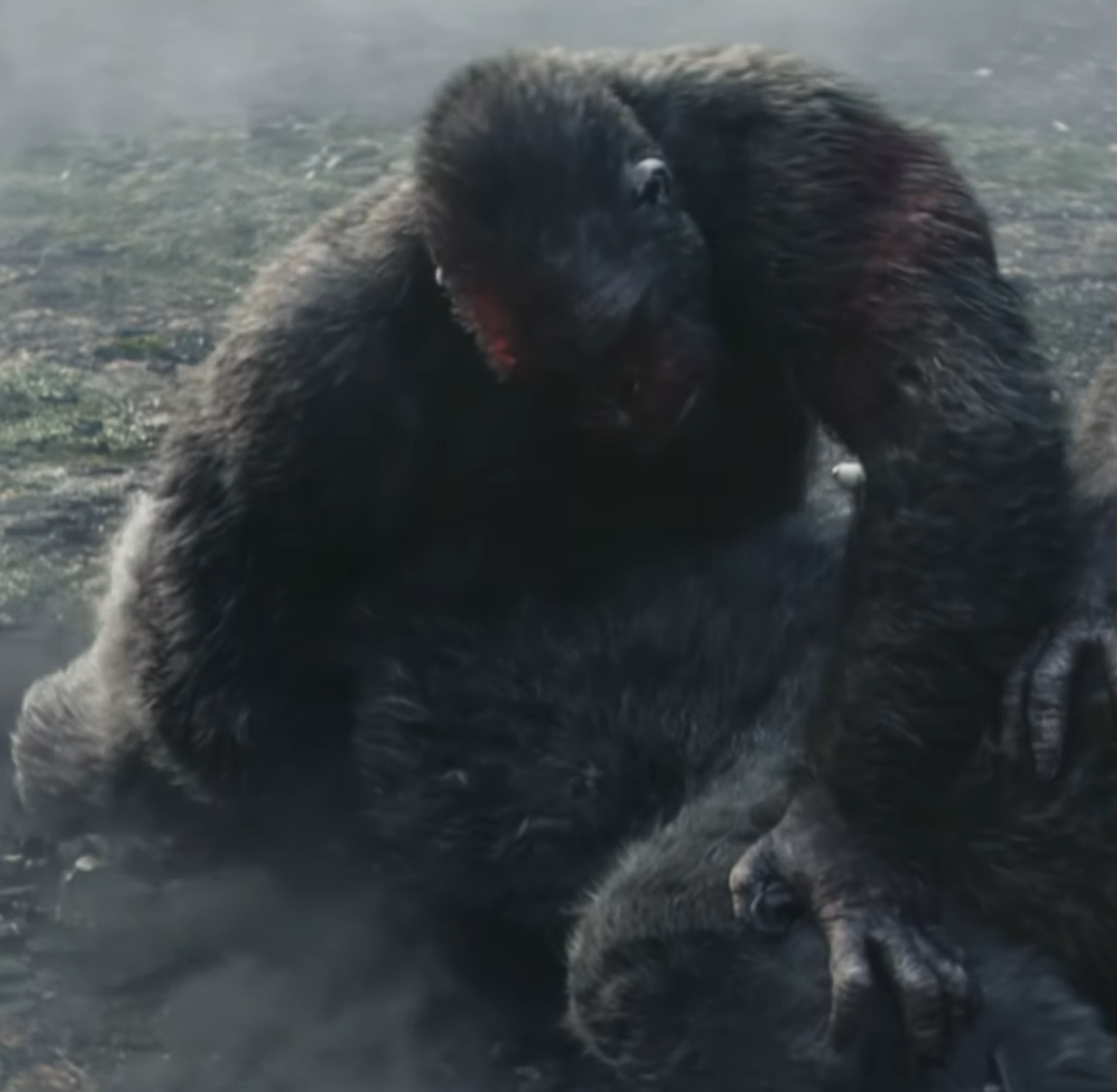Chân dung định danh chính thức của đại vượn Stone Fist trong Godzilla x Kong: The New Empire